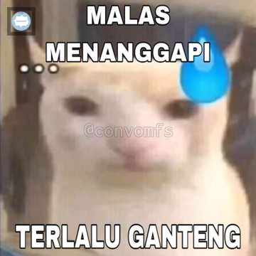 convomfs's tweet photo. Drop meme sejenis kayak gini dong 💭 https://t.co/WH0mmXHBAh
