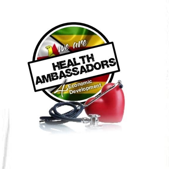 HealthA4ED's tweet photo. We exist to serve and defend our health industry through patriotism and service to our country🇿🇼. A healthy nation is a productive nation ❤️ https://t.co/MBV8Ao2nRV