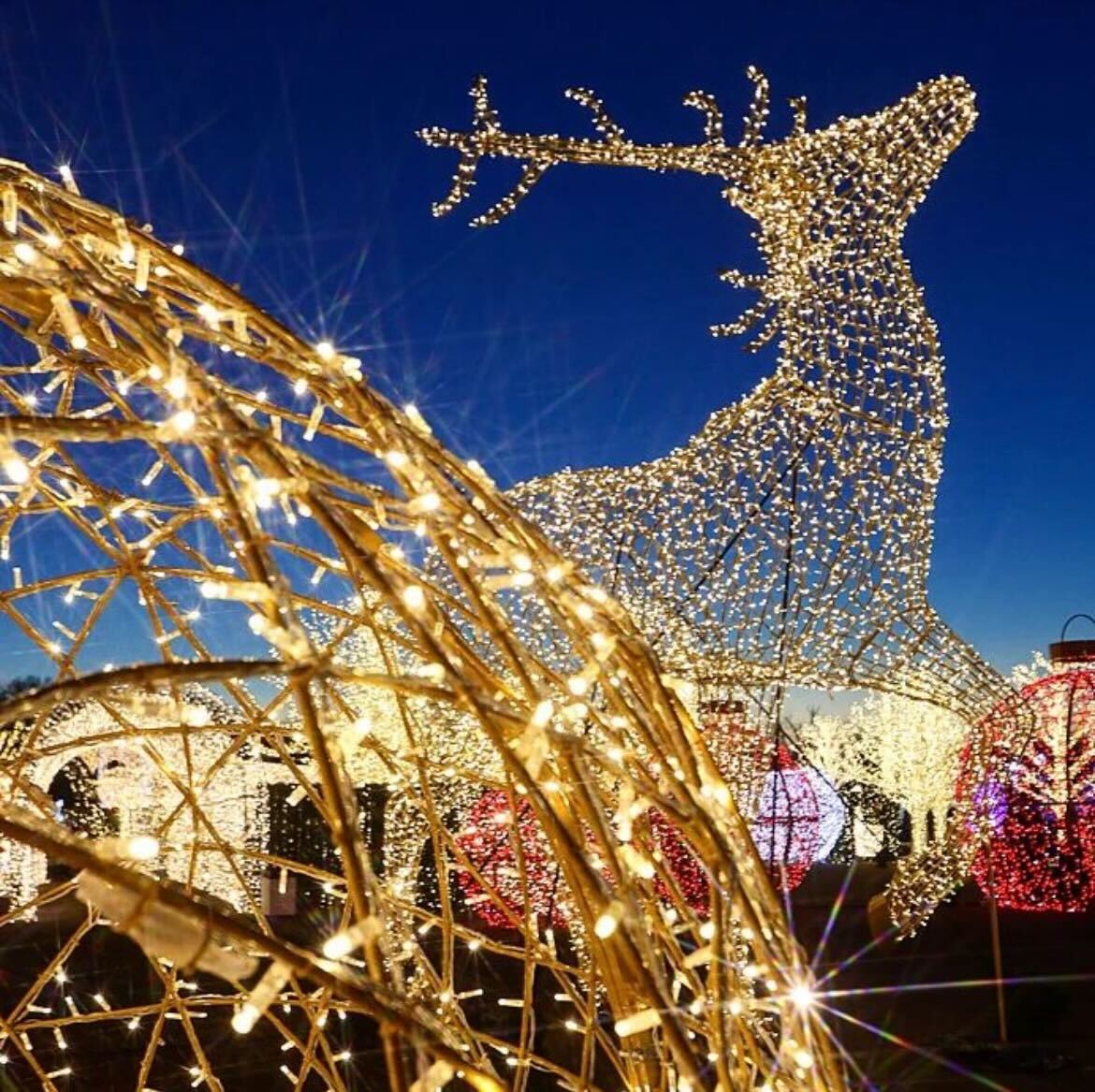 visitphilly's tweet photo. 🎶You know Dasher, and Dancer, and Prancer, and Vixen...🎶
#VisitPhilly #PackLightPlanBig #ExplorePhilly
📸: @ tripograffy https://t.co/4OfcWFsL9d