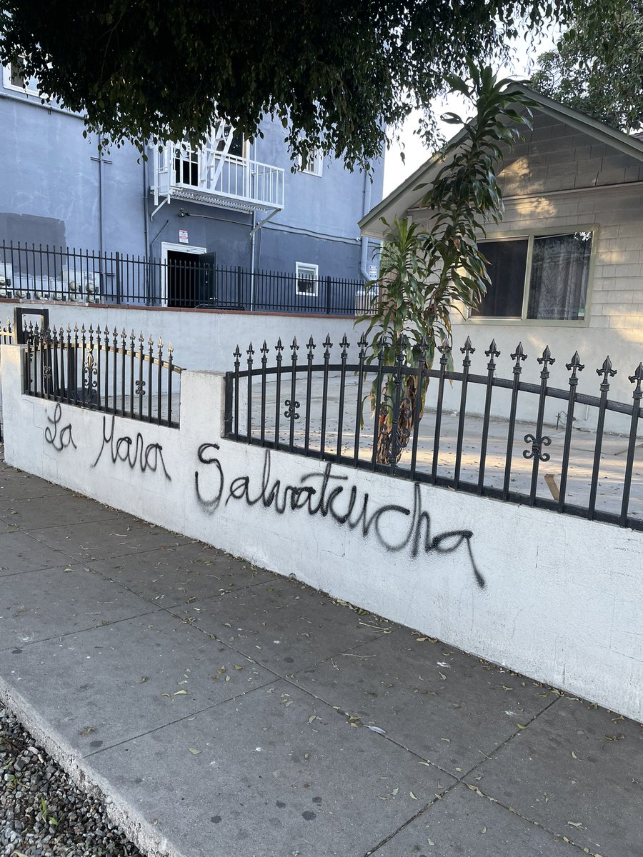 District13Rep's tweet photo. @CAgovernor @GavinNewsom @CDFAnews @CalGuard @GavinNewsom - Clean 🧽 Up. Do something about #MS13 Gang in our Park &amp; neighborhood. We’re under #MS13 siege. @LACity @BSSLosAngeles #CD13 MS13 Gangs @MyLA311 @HugoForCD13 @KarenBassLA @ 5219 Romaine Street, LA, CA 90029 @LACitySAN  @MayorOfLA  @CAgovernor @POTUS https://t.co/mtuGqm0Cii