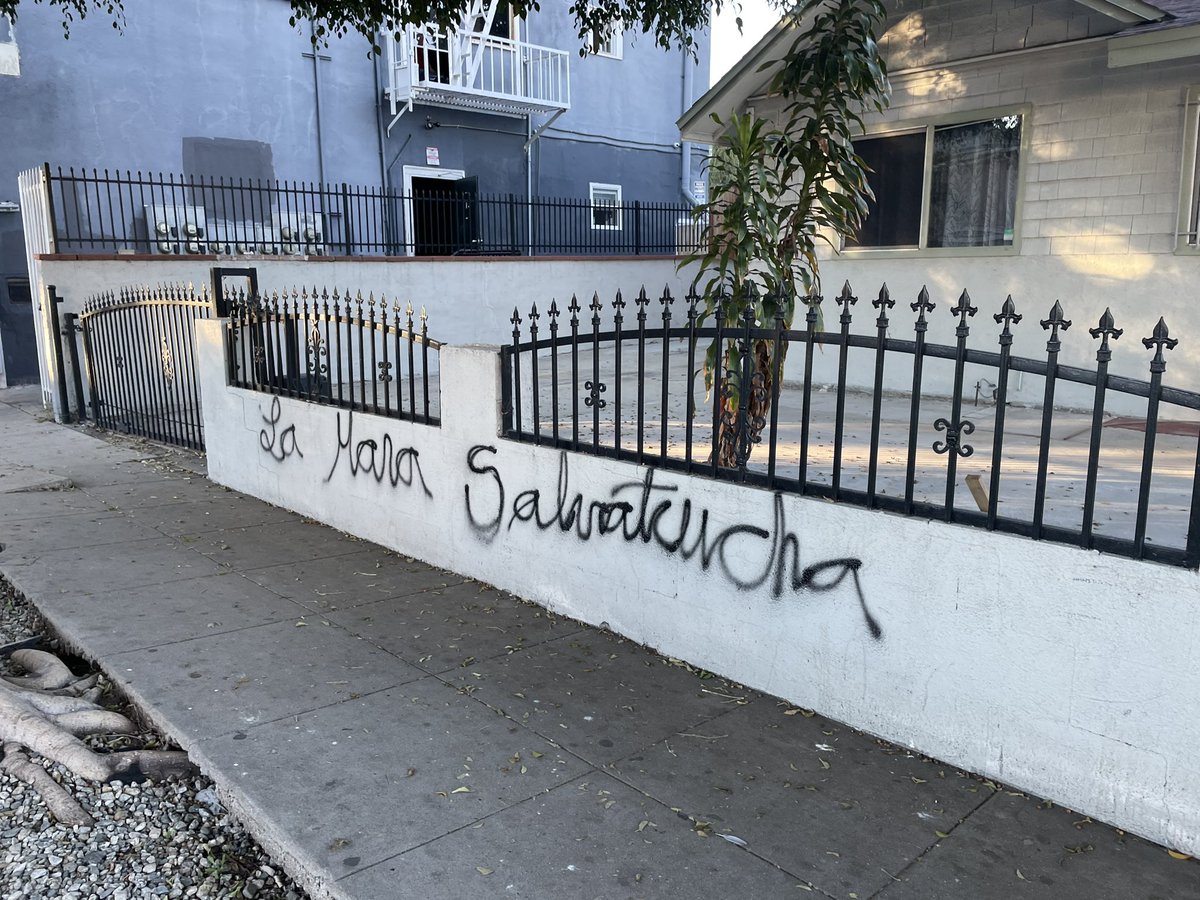 District13Rep's tweet photo. @CAgovernor @GavinNewsom @CDFAnews @CalGuard @GavinNewsom - Clean 🧽 Up. Do something about #MS13 Gang in our Park &amp; neighborhood. We’re under #MS13 siege. @LACity @BSSLosAngeles #CD13 MS13 Gangs @MyLA311 @HugoForCD13 @KarenBassLA @ 5219 Romaine Street, LA, CA 90029 @LACitySAN  @MayorOfLA  @CAgovernor @POTUS https://t.co/mtuGqm0Cii