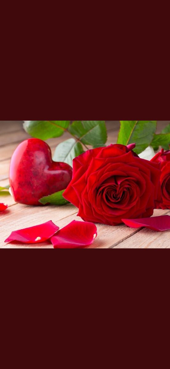 qhp8_'s tweet photo. #تصويري

سيدخل حياتك ويخرج منها الكثير
فقط الأصدقاء الحقيقين هم 
من سيتركون بصمة في قلبك🧡 https://t.co/zO6umycS60