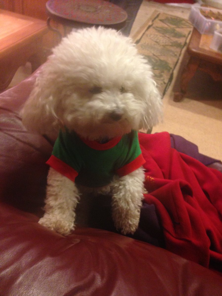 SarahStorm634's tweet photo. Really missing you right now. First Christmas without you. https://t.co/BfXHLj1vfx