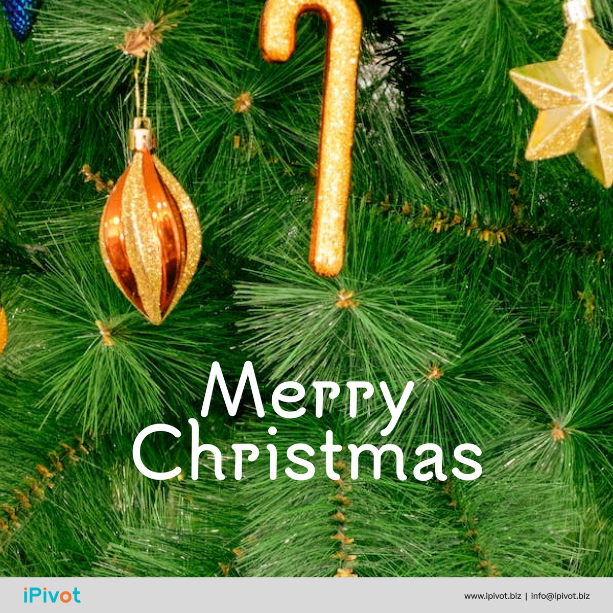 iPivot_Biz's tweet photo. Merry Christmas to all our friends 🎄 We hope your holiday is joyful and full of love ❤️

#ECF #Crowdfunding #iPivot #Holiday https://t.co/efLme5BFF4