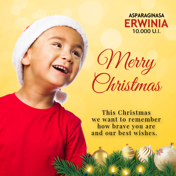AErwinia's tweet photo. Erwinia Asparaginasa les desea una #FelizNavidad2022. Una fecha especial para estar unidos en familia.
Erwinia Asparaginasa wishes you a #MerryChristmas2022 A special date to be with your family. #AsparaginaseErwinia #Leukemia #ChildhoodCancerAwareness
#supportkidswithcancer https://t.co/NEI0F4eaTr