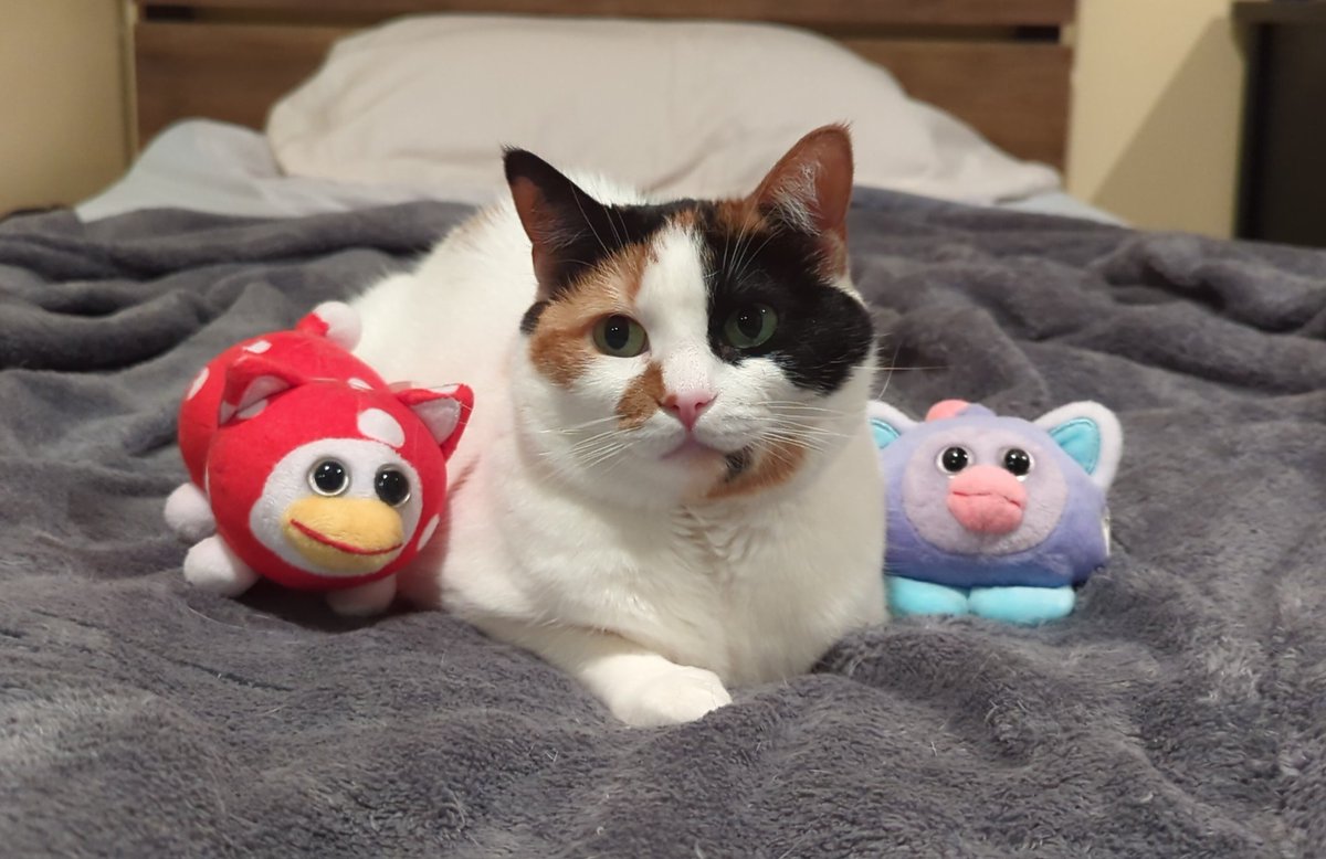 look at these fucking things bro