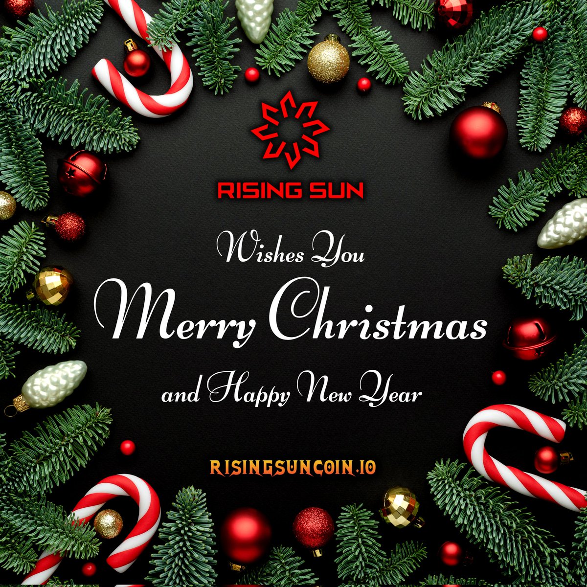 Rising Sun - Shadow Descendants tweet media