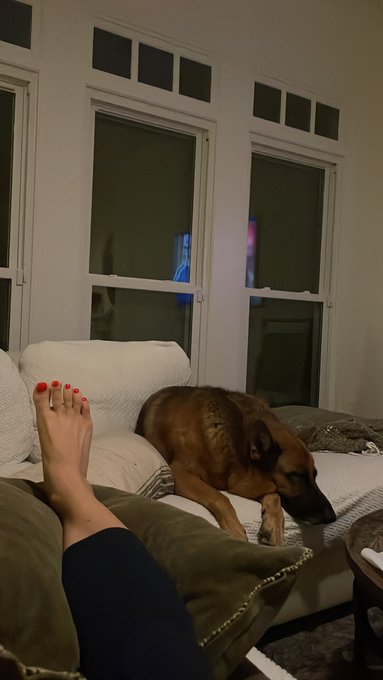 I think I broke my toe. https://t.co/j4FLtLnxpi<a href="/tag/triller"class="tags"><span>#triller</span></a>