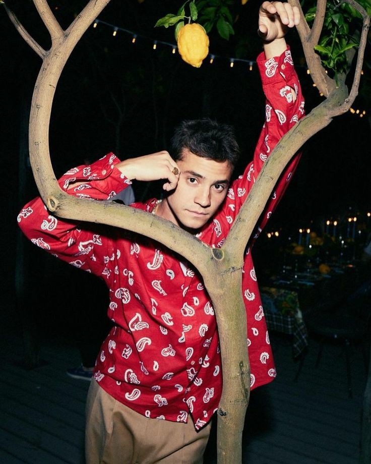 ezdevito's tweet image. feliz natal 🎄