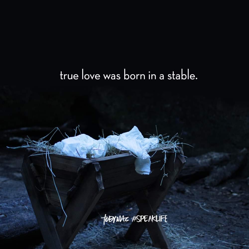 Kelsey Atkins (@atkinsauthor) on Twitter photo 