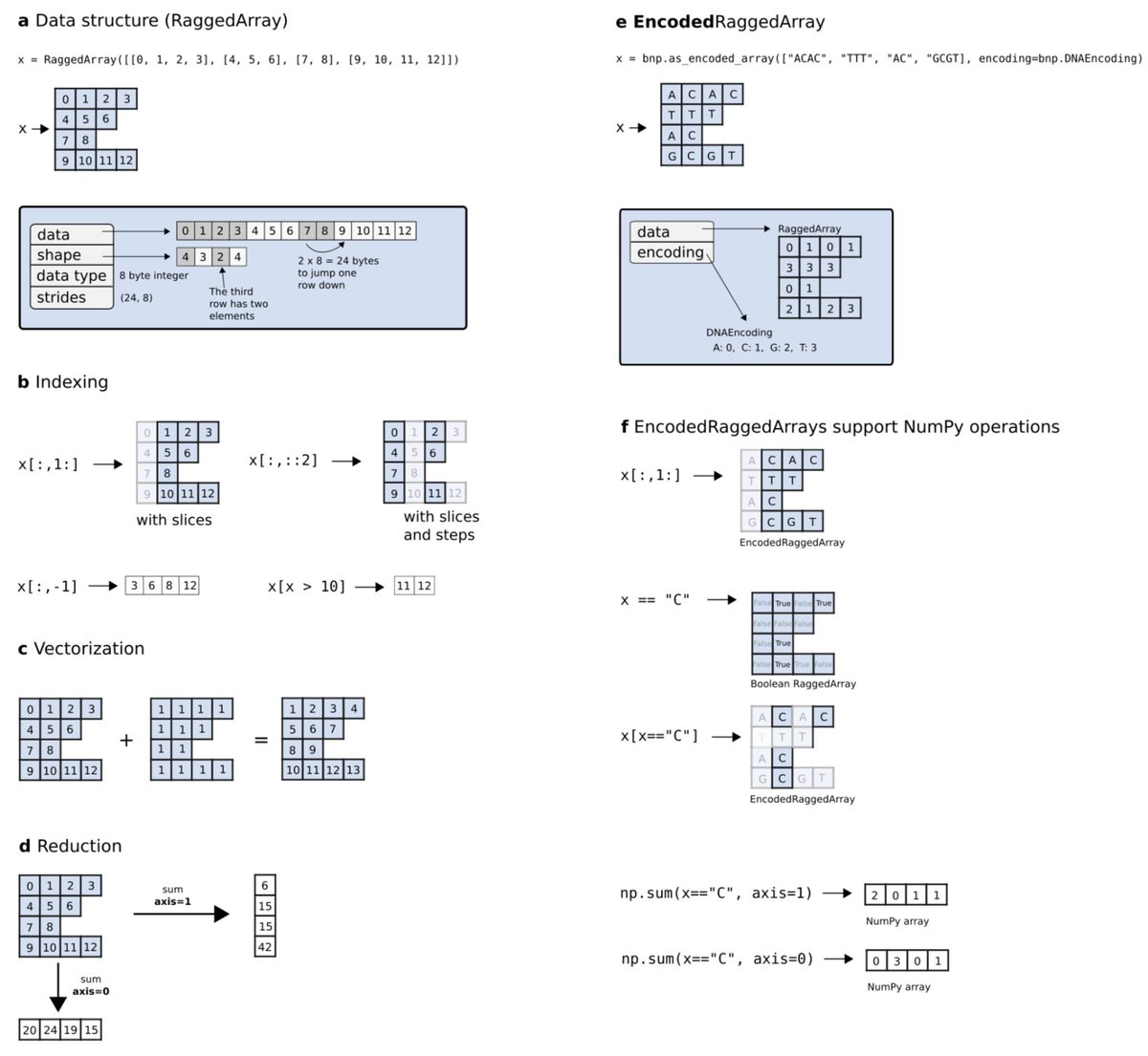 antisense. tweet media