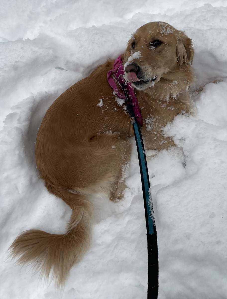 James Taylor tweet media