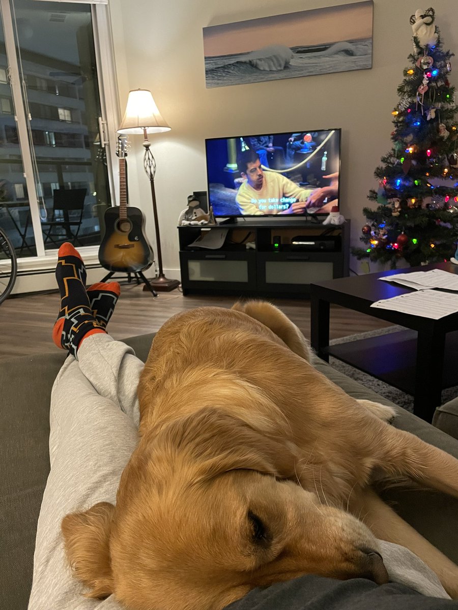 Looking after my friend’s dog, Nova, over the holidays might just be the best gift I have ever received. Happy Holidays everyone - hope you are all safe and warm with loved ones!