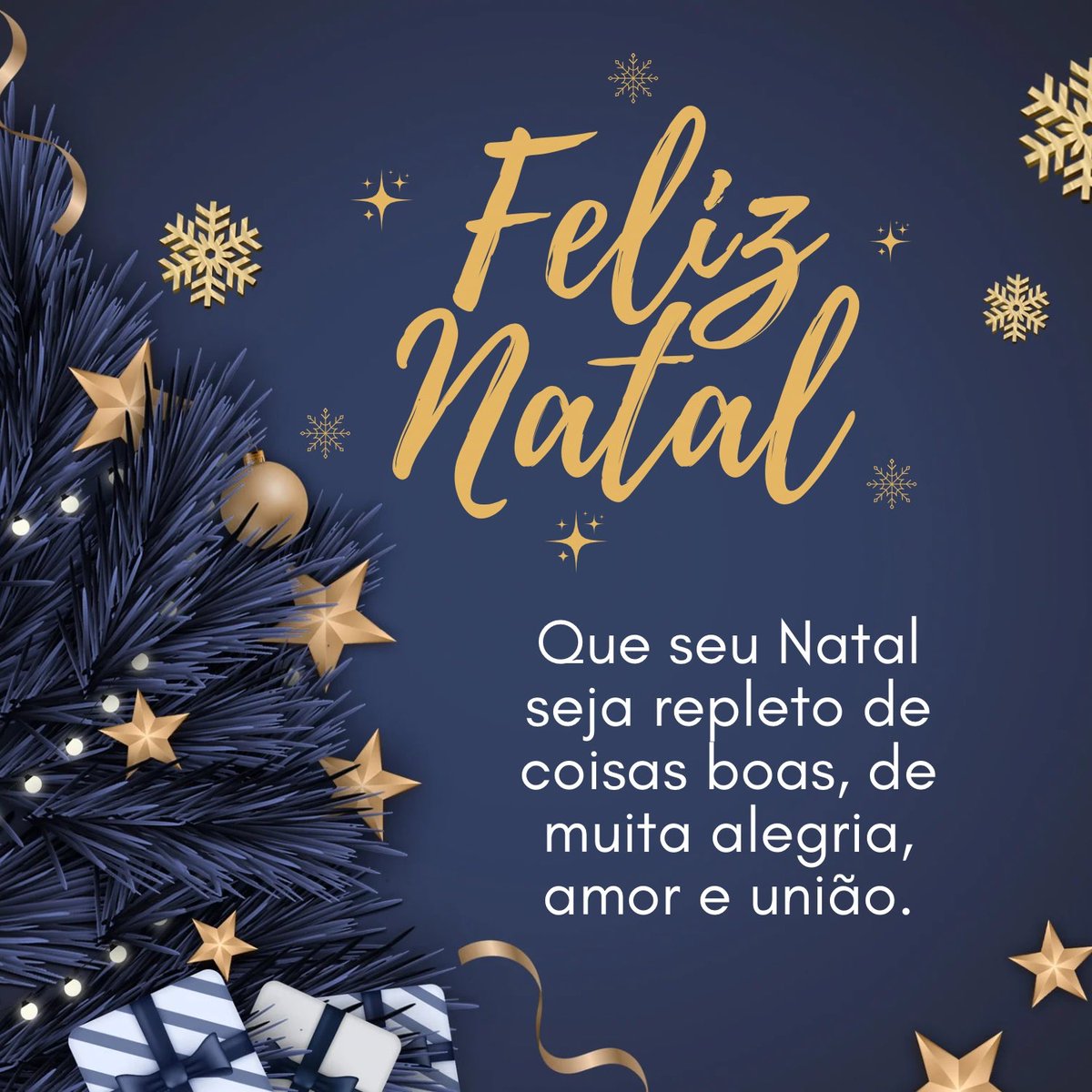 Um Natal de muita paz e luz a todo o povo brasileiro. Que as bençãos de Deus inundem seus lares e tragam paz, harmonia e muita perseverança. #FelizNatal 🙏🏻