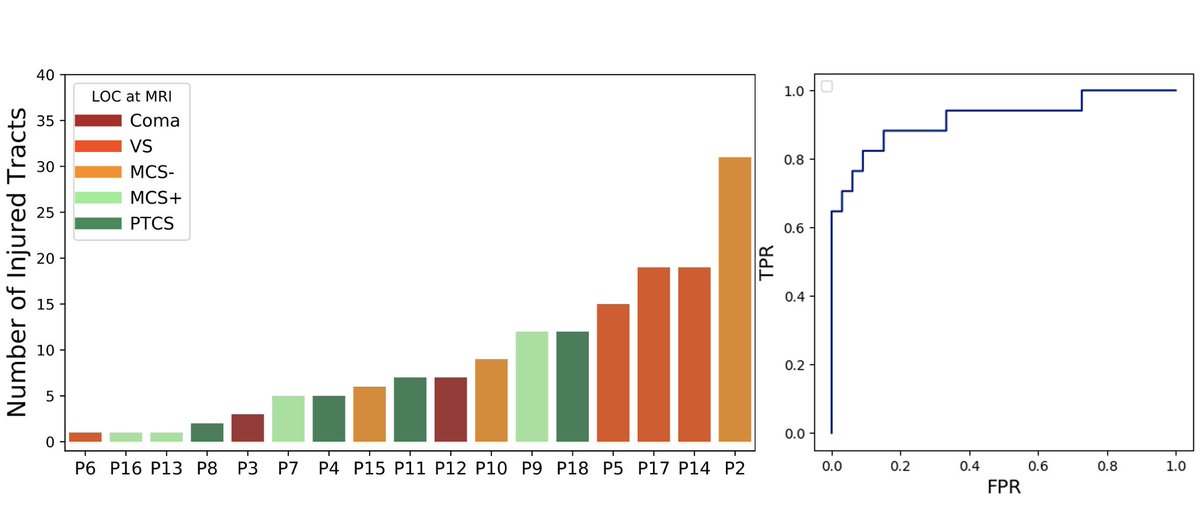 Chiara Maffei tweet media