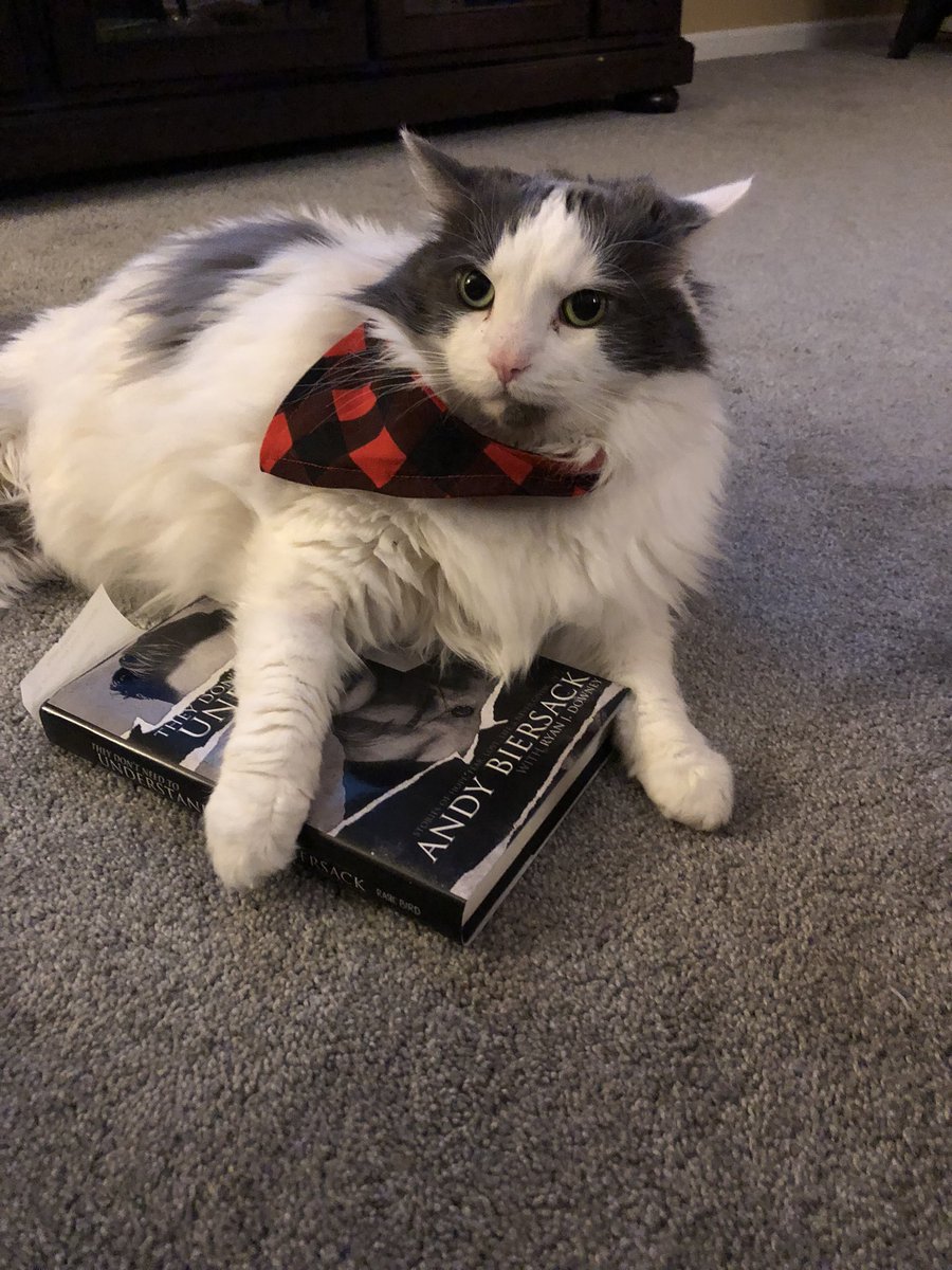 MusicByMaleena's tweet photo. @andyblack your book must be really good, Pringles won’t let it go! https://t.co/2ZDZgYl5TW