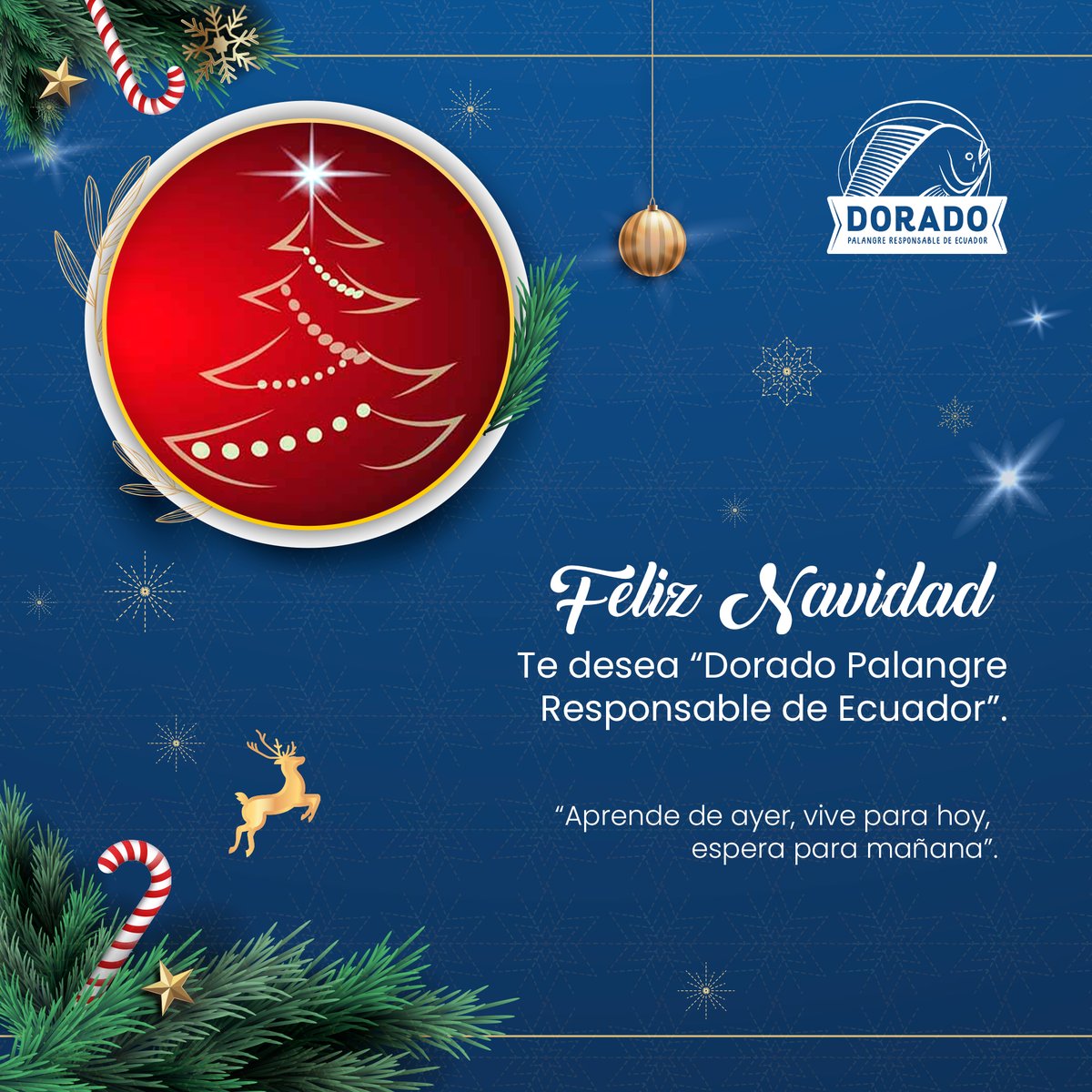 FipMahi_Asoaman's tweet photo. ¡Feliz Navidad! 💚 De quienes conformamos este FIP queremos desearles los mejores deseos en este día especial.
"Aprende de ayer, vive para hoy, espera para mañana".
#FIP #FelizNavidad #Asoaman #MahiMahi https://t.co/UpHYu14yXU