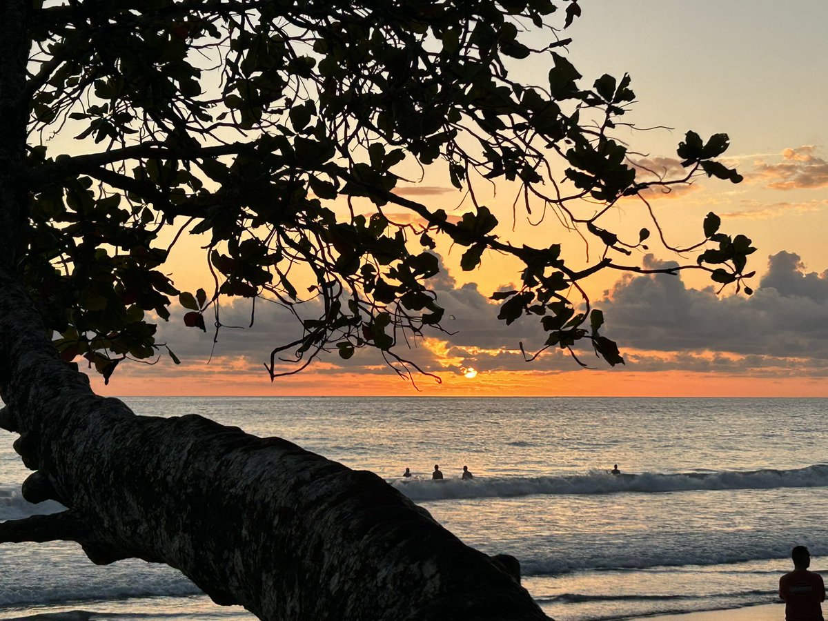 Gretchga99's tweet photo. @Visit_CostaRica @metaricanft @opensea @nftnow Merry Christmas Eve ❤️💚Pura Vida! https://t.co/doW2PYyYv6