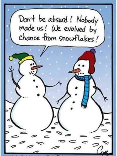 Bob Robert tweet media