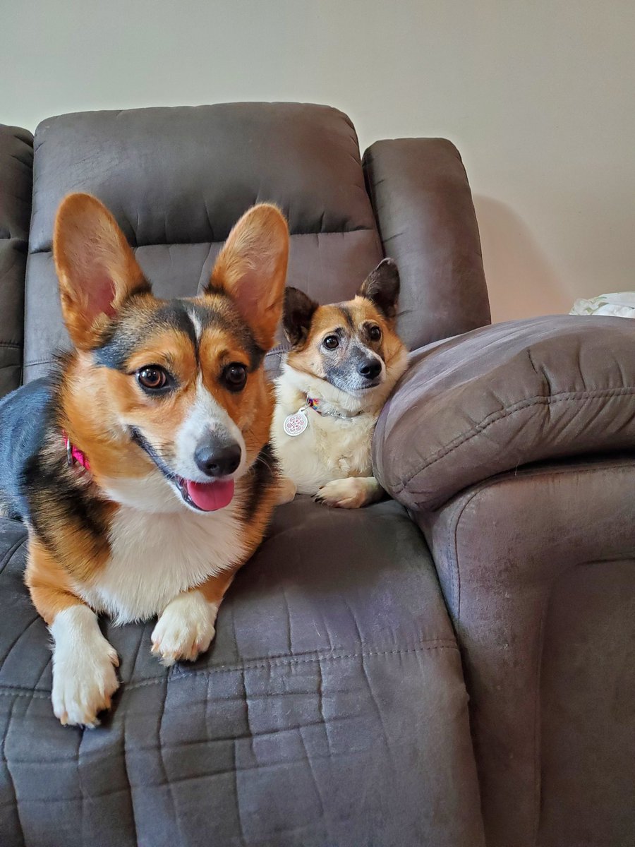 Danielle Kay tweet media