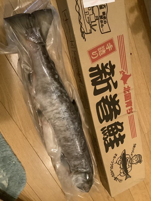 クリスマスということで、頂き物の新巻鮭を捌いておりました
クリスマスだし 