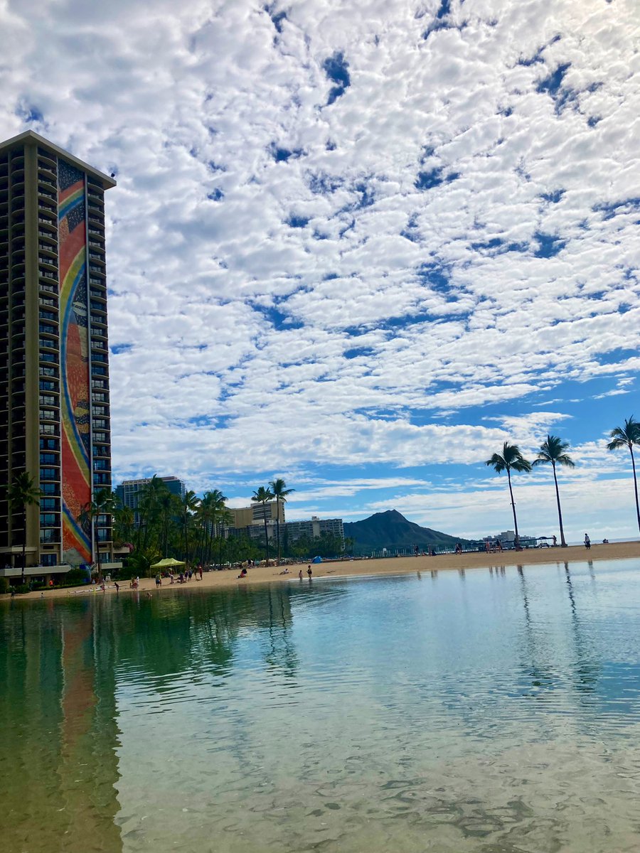 BenSuykens's tweet image. It’s a wrap. End of my 2nd @FWOVlaanderen research stay at @on_puba @uhmanoa. Thank you @ChiaKoJKHung1 for the hospitality, support and collaboration. 2023 will make for some interesting paper submissions on #nonprofit #marketization :-). Now back to @GovPA_UGent ✈️✈️