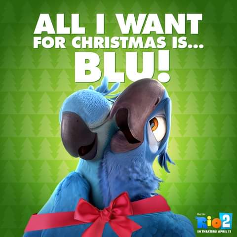 Wish y'all a happy Christmas everybird!