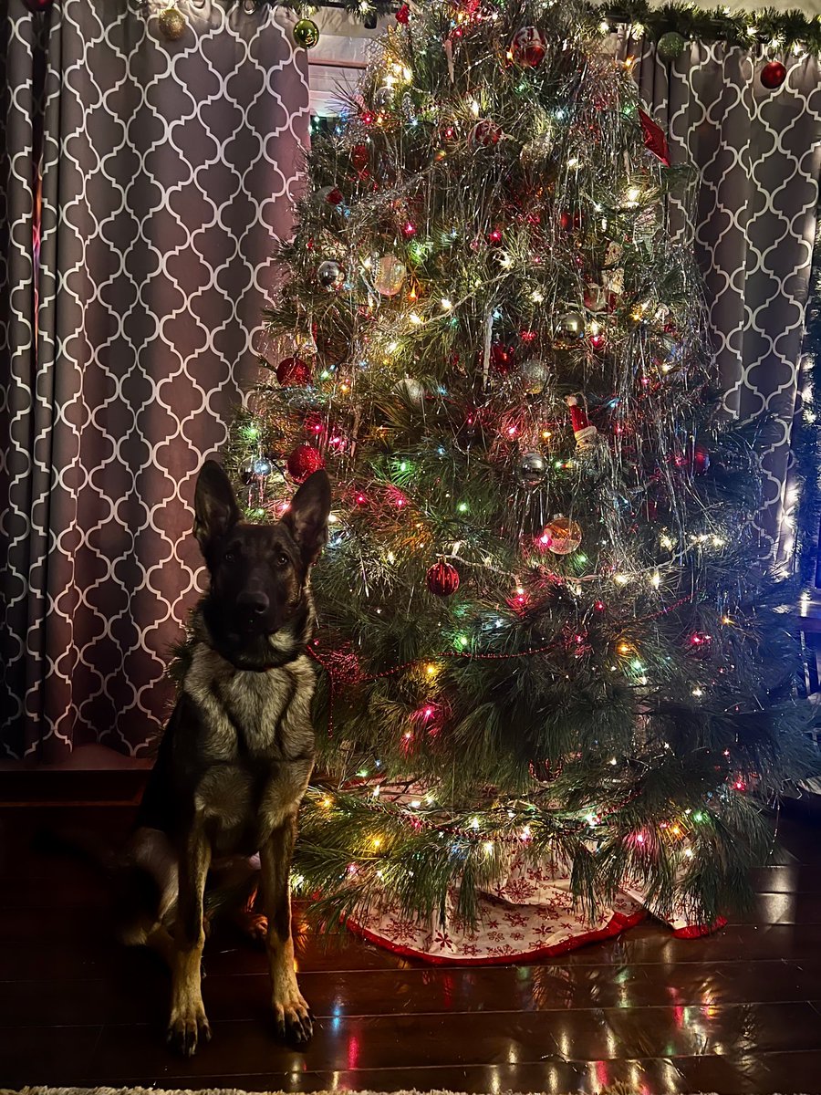 Dustin Ventimiglia tweet media