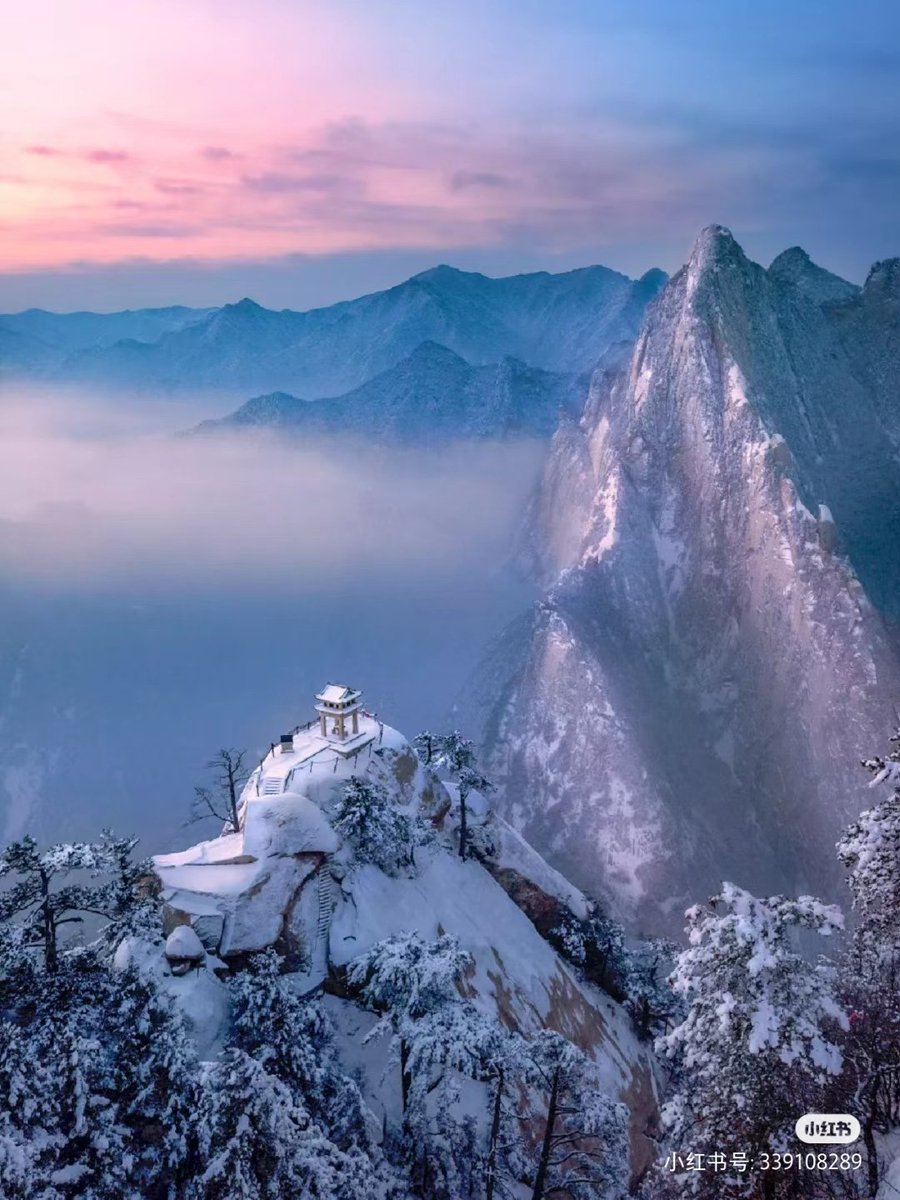 种花家的emily (互fo100% 100% 🌸) tweet media