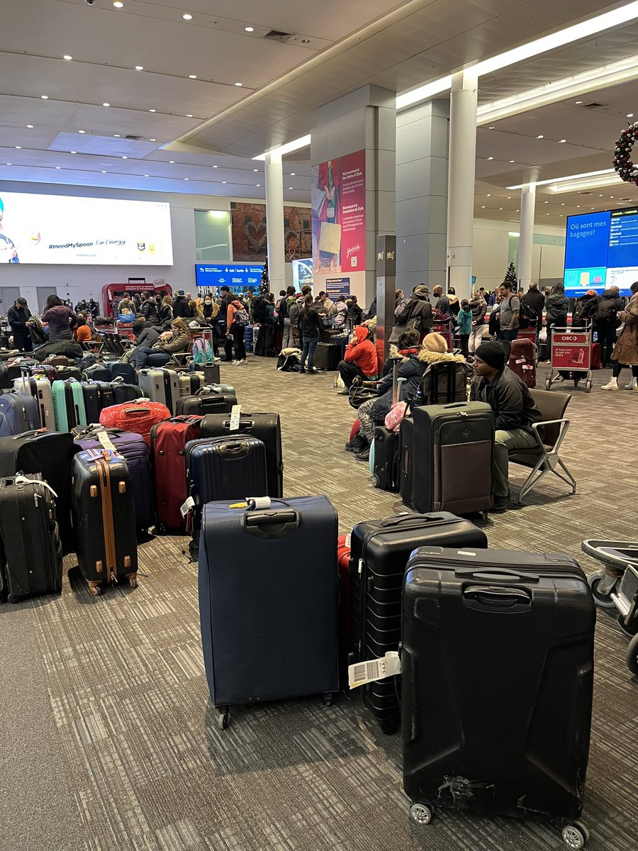 Sabra Gibbens MD tweet media