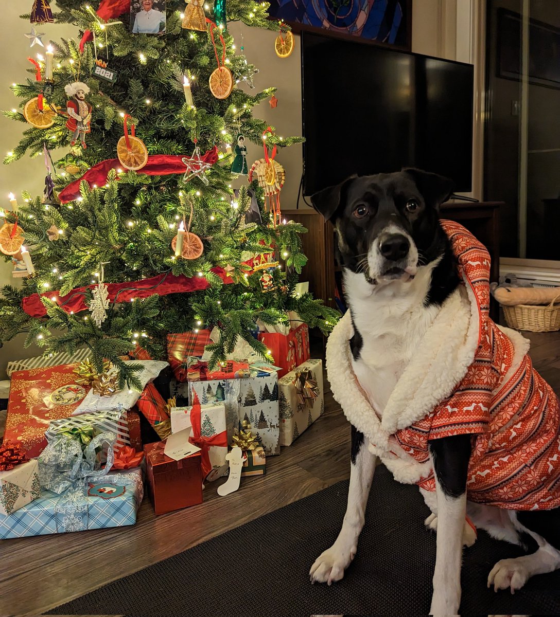 rambler_lady's tweet photo. Merry Christmas and Happy Holidays to the RamFam! https://t.co/CcF5pc5Ova