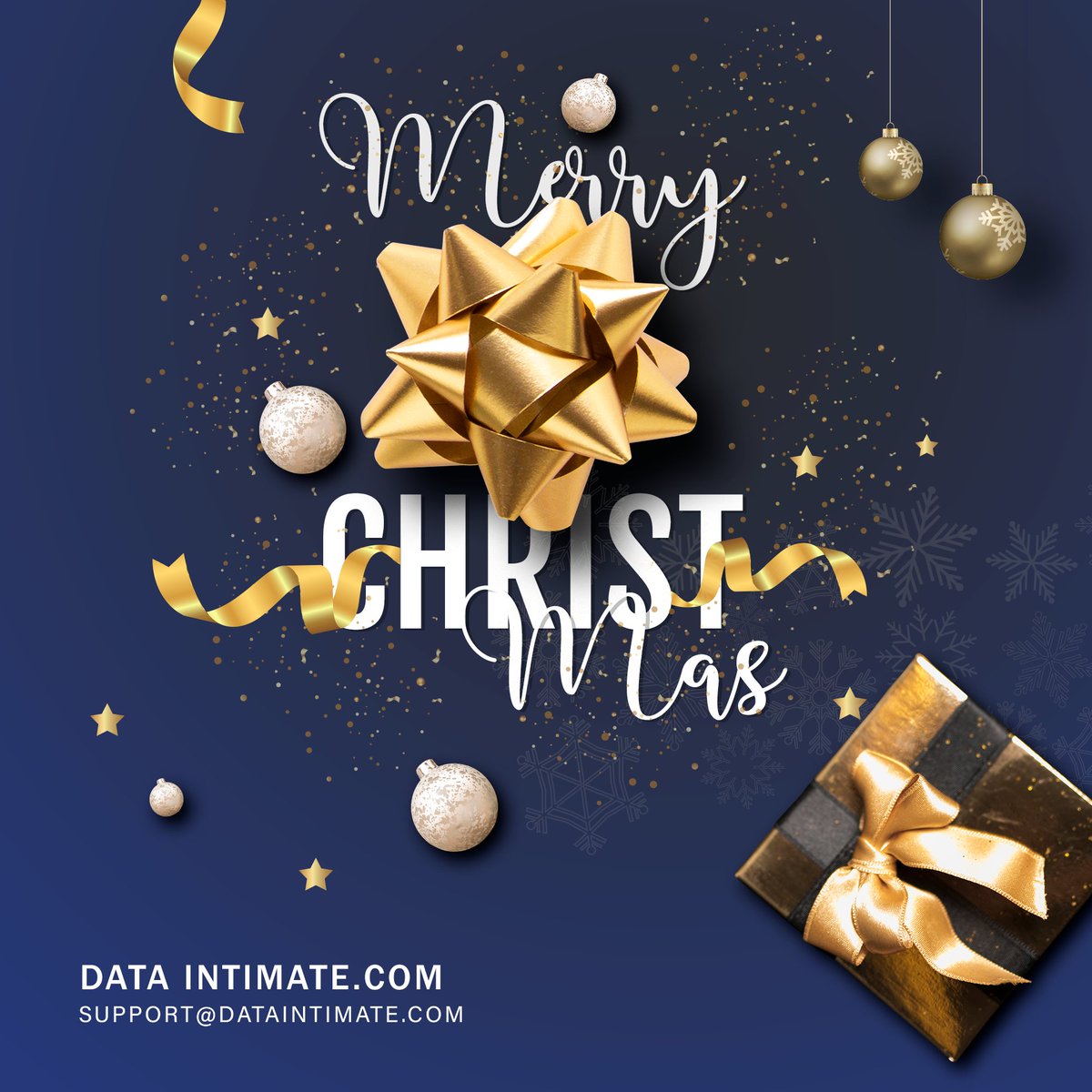 Data_Intimate's tweet image. Merry Christmas! And best wishes for a healthy, happy, and peaceful New Year. 
🔵 Website: dataintimate.com
🔵 Telephone: +9411 7 875 373
🔵 E-mail: support@dataintimate.com
🔵 DATA INTIMATE
All your data aspects will be served by one place!
#dataintimate  #merrychristmas