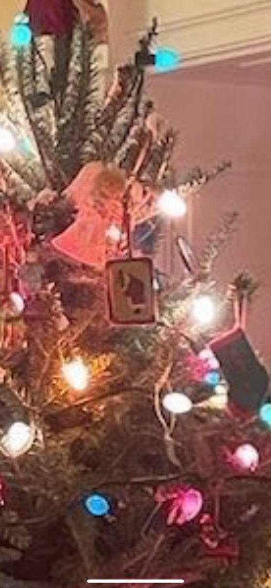 Jake25559073's tweet photo. Joe Biden just posted this pic. Zoom in on the tree. 4 Unicorn playing card is hanging. 

Now Google “4 unicorn” and you get something called “The Four Unicorns of the Apocolypse”, which was in an episode of the Powerpuff girls called “The Last Donnycon” https://t.co/j0QEMyw3aQ
