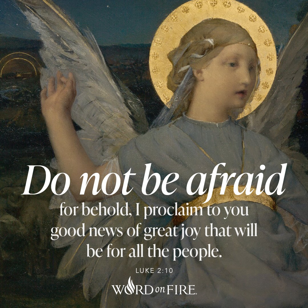 BishopBarron's tweet photo. Merry Christmas Eve, friends! https://t.co/sGUPTIICjo