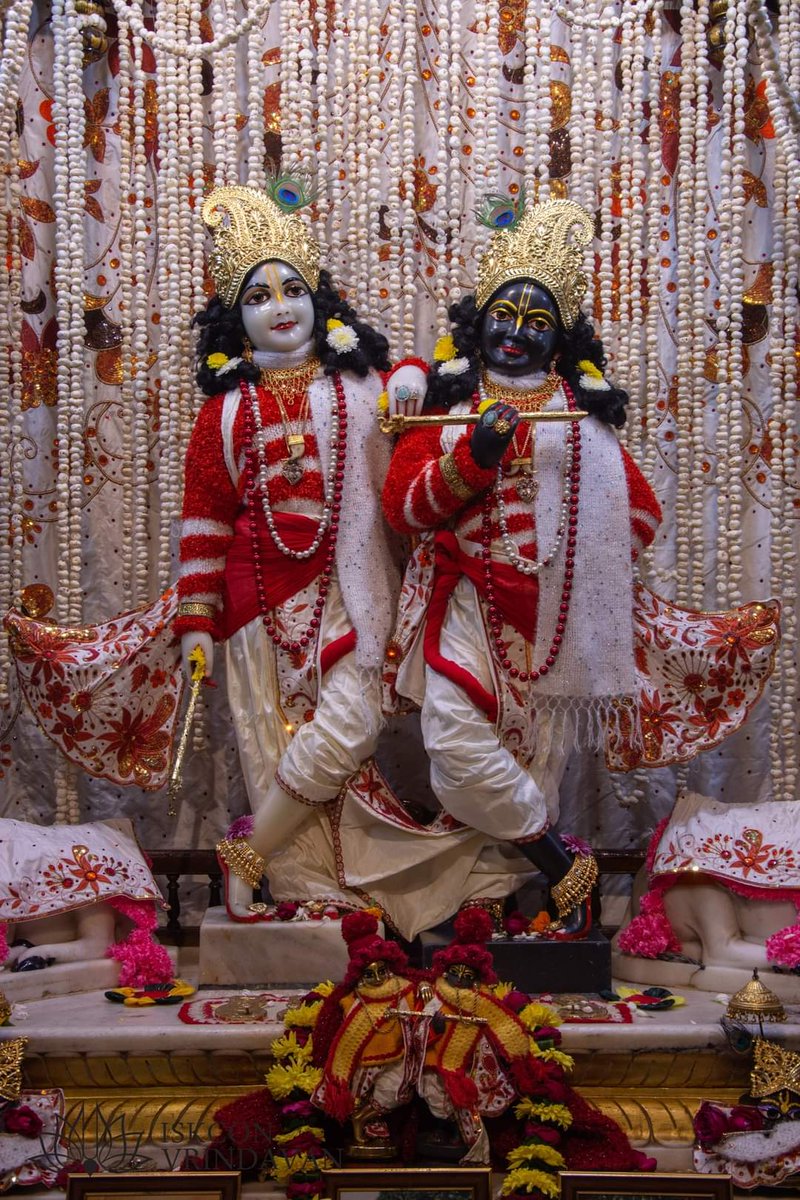 Krishna Balaram 🪩☘️🦚🍁