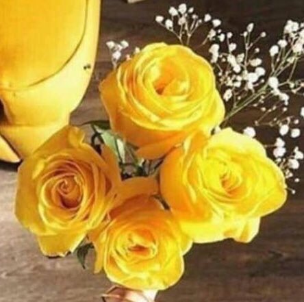 احسان (@1ehsan33) on Twitter photo 