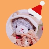 かわいい 