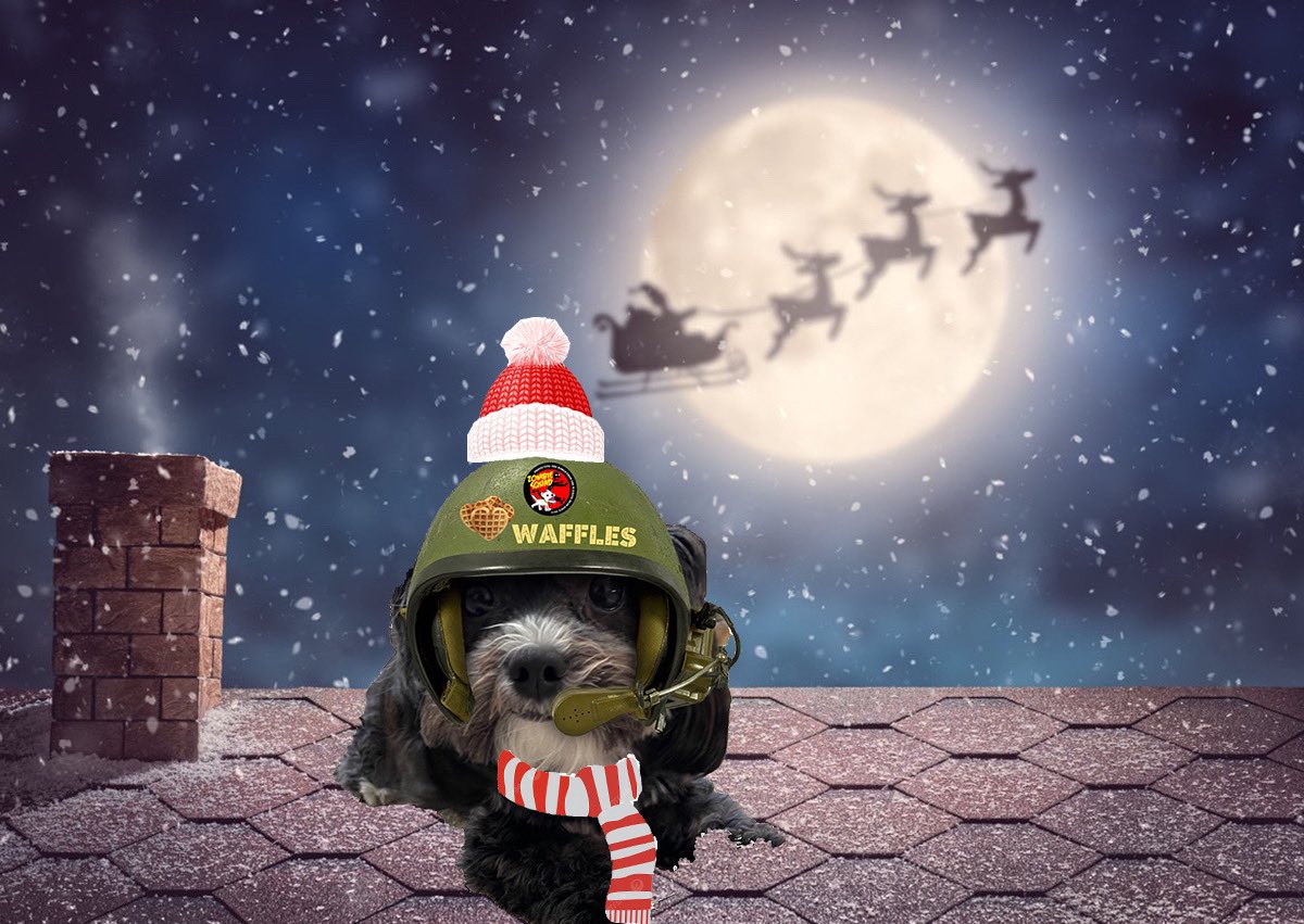 Me successfully escorted Santa while on rooftop pawtrol in New York! No zombs. Just reindeer. And lots of prezzies! 
Saluting you, Jolly Ol’ Elf! RaaAaa #zshq #dogsoftwitter #DogsOnTwitter #dogs #Christmas #ChristmasEve #NORADTracksSanta