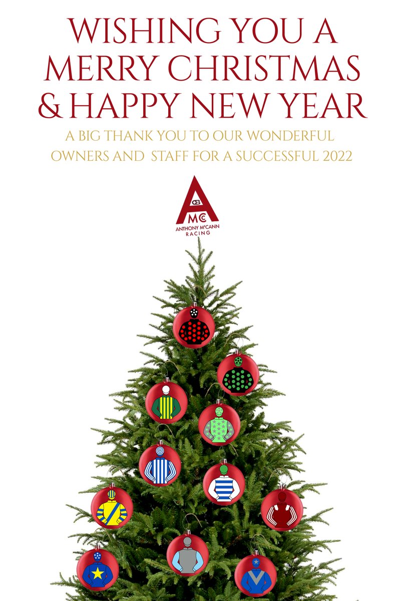 Wishing everyone a very Merry Christmas, from Anthony and all the team at Shabra Stables
