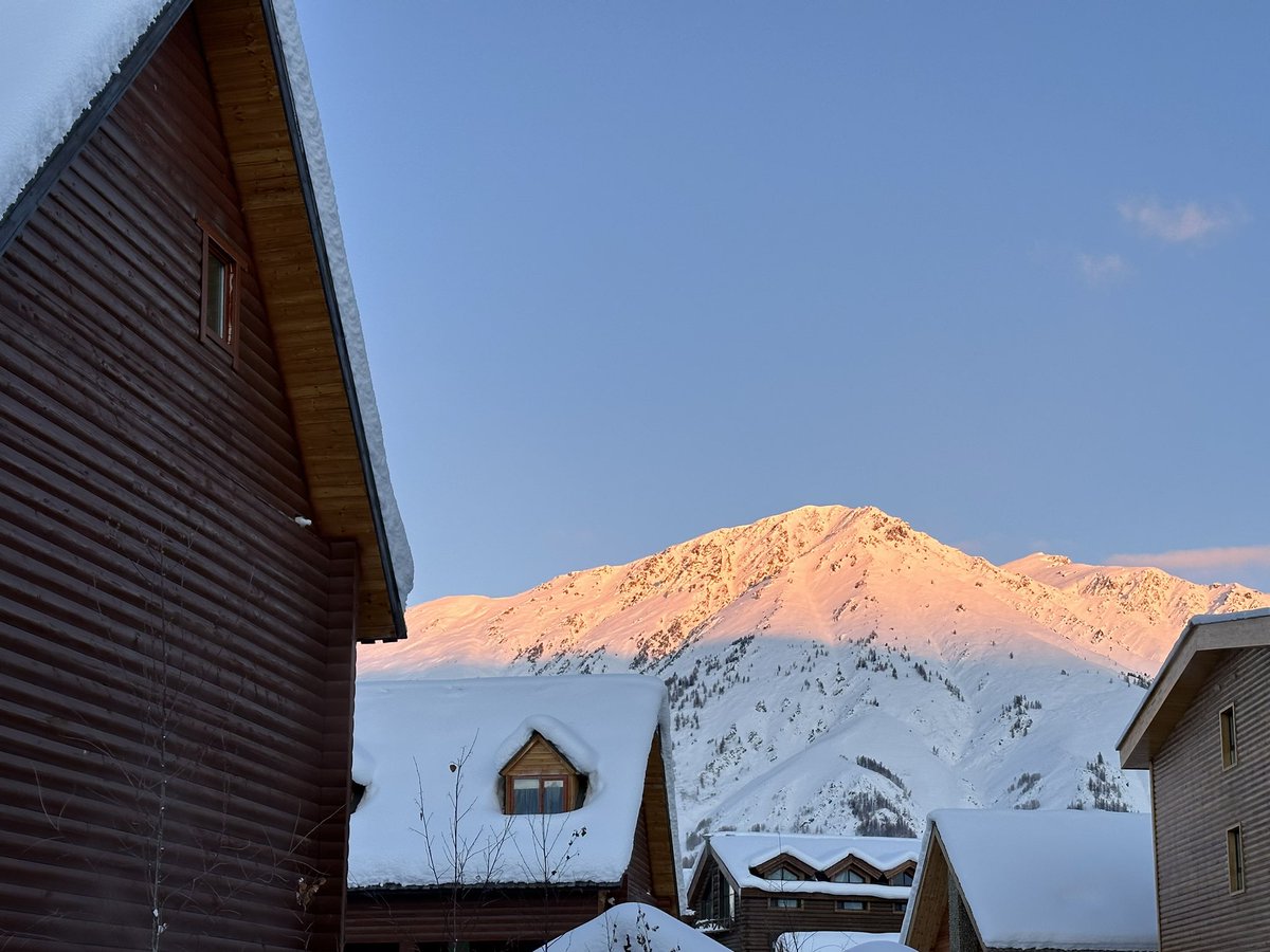 Scarlett Zhang tweet media