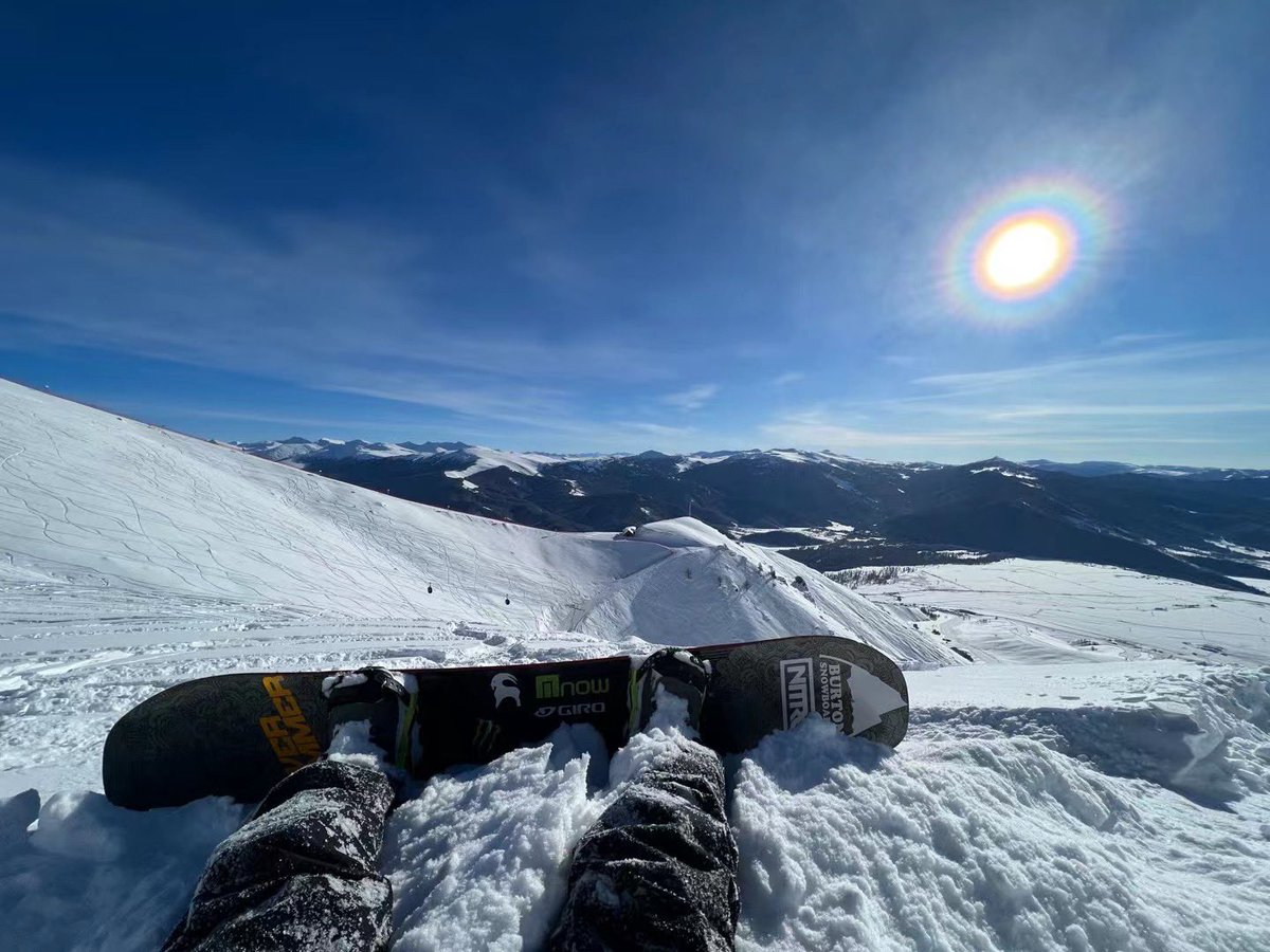 Scarlett Zhang tweet media