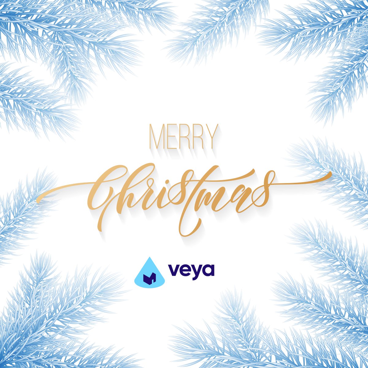Merry Christmas from the whole team at Veya. We hope Santa has been!

#Christmas2022  #xmas2022