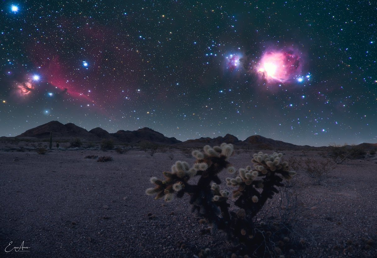 evanamos's tweet photo. Kofa national refuge - Arizona 
#arizona #space #nebula #orion #horsehead #landscape #deepscape #nikon #zcreators #halpha #stars https://t.co/SsAoTkYisz