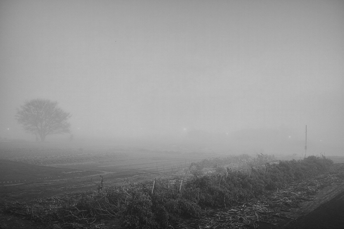 Miroku0310Rose's tweet image. 窓の向こう

#dpmerrill
#landscape