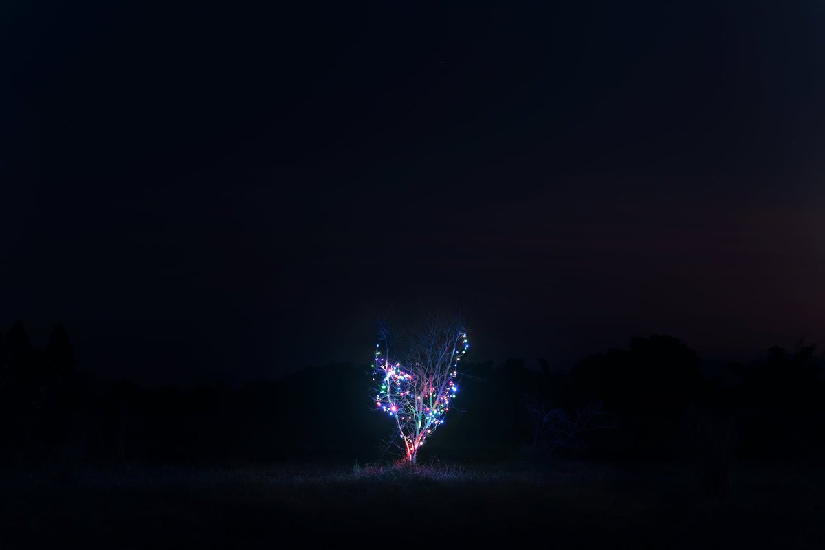 เป็นงานที่เล่นกับบริบทไทยๆ ที่ชอบมาก (จริงๆ คือของปีที่แล้ว) 

Is that a Christmas Tree? เป็นผลงานของคุณ Earthz Phongsathon ที่เล่นกับภาพจำของคน ที่มักเอาความเคยชิน ไปสวมลงบนสิ่งต่างๆ ที่เรามองเห็น ทำให้เราตีความไปอย่างหนึ่ง ก่อนจะพบกับความจริงที่แตกต่างเมื่อเราได้จ้องมองดีๆ