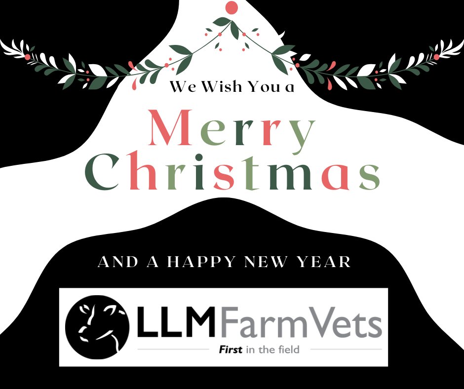 LLMteam's tweet photo. We wish you all a very Merry Christmas and a Happy New Year from everyone at LLM!

Send us your Christmas day on-farm photos... 

#whoseatingturkey
#eatingmincepies
#tastymulledwine
#festivetime https://t.co/g5r7r4xVyG