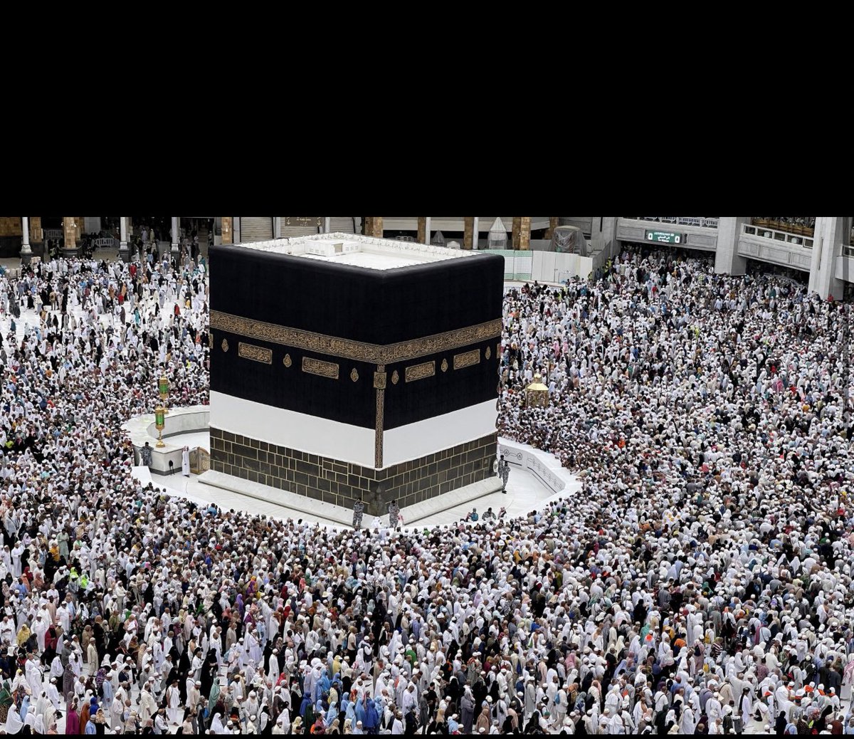 Ania El Afandi آنيا tweet media