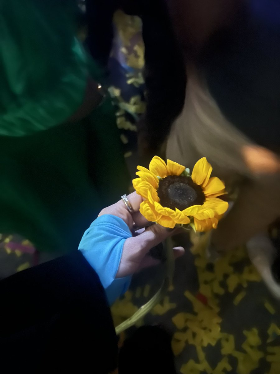 💙🌻🪩🌀
