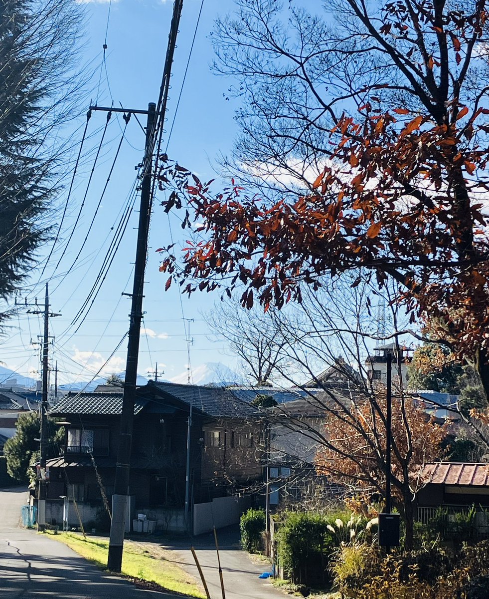 クリスマスの富士山🗻も良い。