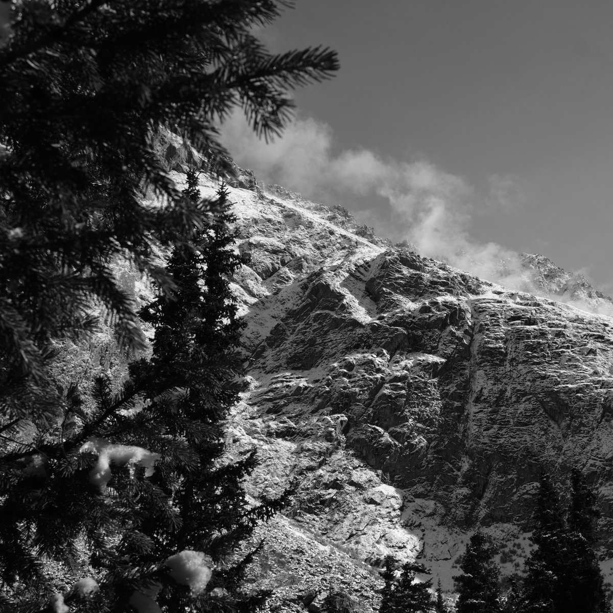 Marry Christmas ❤️🎄🎄 
#NFTFam #NFTCommunty #nftphotographer